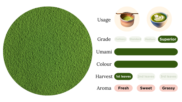 Matcha High Grade/H-M1