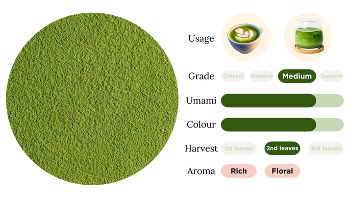 Matcha Medium Grade/H-M2