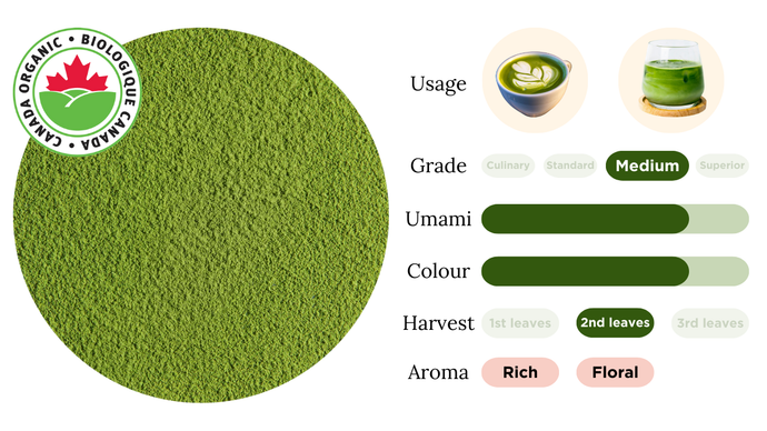 Organic Matcha Medium Grade